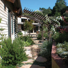 trellis