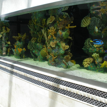 A portfolio of custom aquariums from our 17+ year history.
