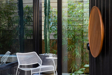 This is an example of a mid-sized contemporary courtyard patio in Sydney.