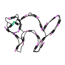 Black cat