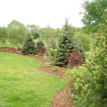 Landscape ideas