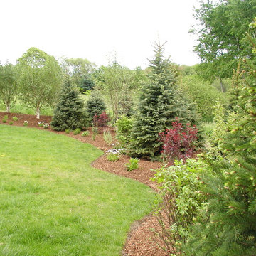 Plantings