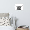 Highland Cow Black and White Wildlife / Animal Photograph Loose Wall Art Prints, 11" X 14"
