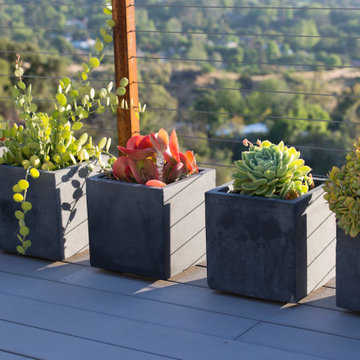 Colorful succulents in square pots on deck