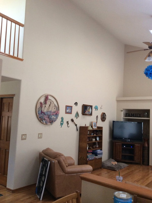 Vaulted Ceiling Decorating Houzz