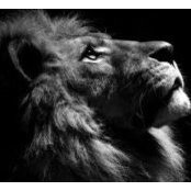Johnny Jones's photo