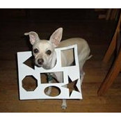 Dorothy Knox's photo
