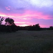 Janice Atkins's photo