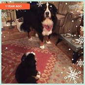 Jennifer Quill Van Sciver's photo