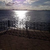 Debbie Ennis's photo