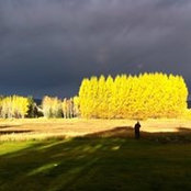Foto von Jennifer Lamppa