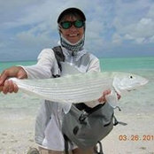 Renee Seely's photo