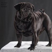 Оксана Кром- Миллерさんの写真