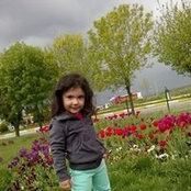 Can Altınok's photo
