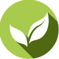 The Green Ink Studio's profile photo