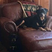Tracy Smith's photo