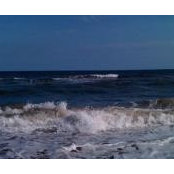 Beth Ray's photo