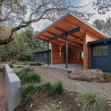 Exterior Colour