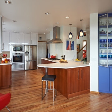 Contemporary Kitchen