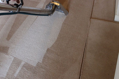 Green Cleaners Team Carpet Cleaning Sydney