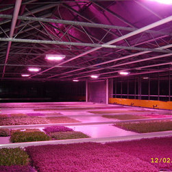 LED Aquarium Light - Products