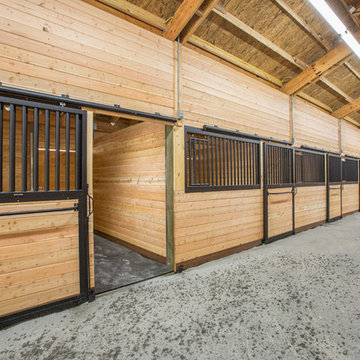 Horse Barn