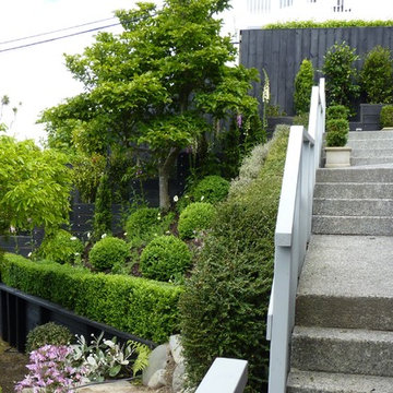 A selection | Mt Victoria, Roseneath, Seatoun, Northland, Wadestown, Ngaio ...