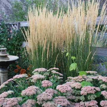 Planting and Horticulture