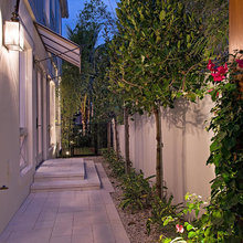 Landscape Ideas