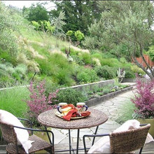 Garden outdoor atea