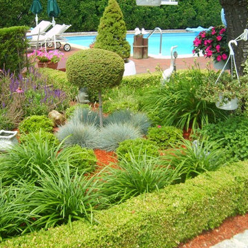 Formal Boxwood Hedge Project