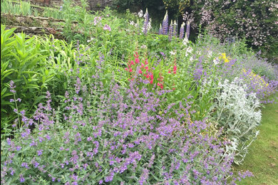 Design ideas for a garden in Wiltshire.