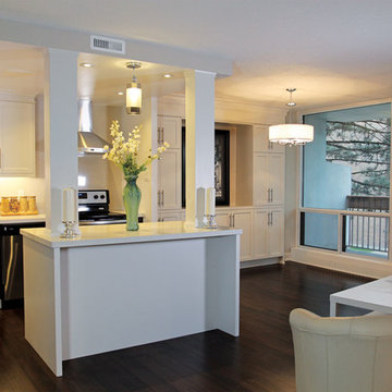 Tailored Condo Renovation