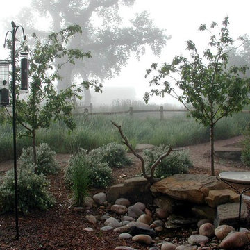 Wildlife Habitat Project - Greeley, Colorado