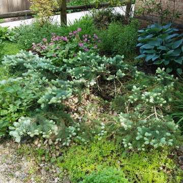 Small Urban Garden