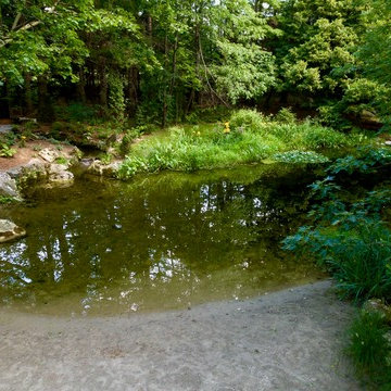Natural Swim Ponds
