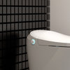 New York All-In-One Smart Toilet With Bidet Seat, Simple