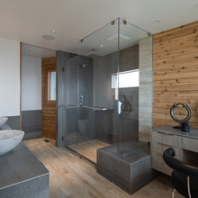 renovation Kingfisher