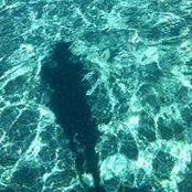 Photo de Kevser Ustundag
