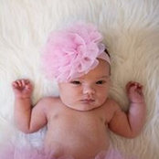 Lee Wilcox's photo