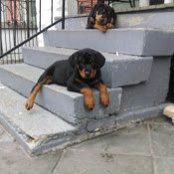 Gina Raby's photo