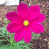 Leana Taft's photo
