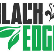 Black Edge Construction's photo