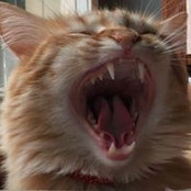 Renate Valencia's photo