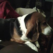 Patty Waters's photo