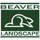 Beaver Landscape