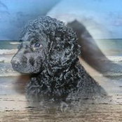 Michael Kluge's photo