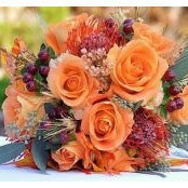 Kristen Kirby Fogg's photo