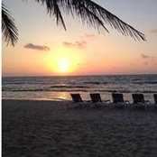 Susan Locascio's photo