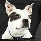 Chris DeVreeze's photo
